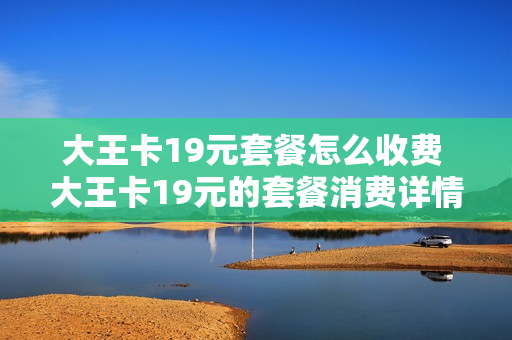大王卡19元套餐怎么收费 大王卡19元的套餐消费详情