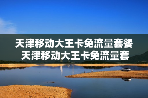 天津移动大王卡免流量套餐 天津移动大王卡免流量套餐有哪些