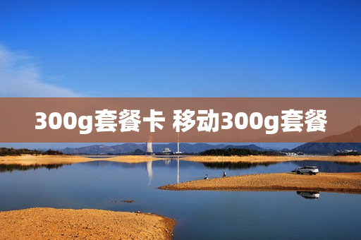 300g套餐卡 移动300g套餐