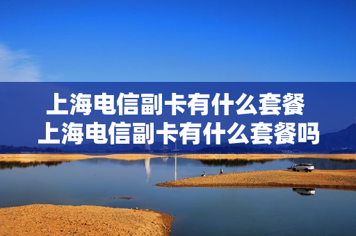 上海电信副卡有什么套餐 上海电信副卡有什么套餐吗