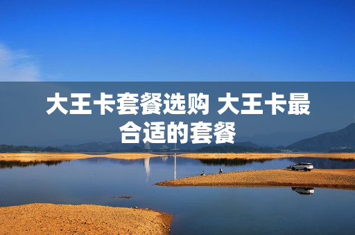 大王卡套餐选购 大王卡最合适的套餐