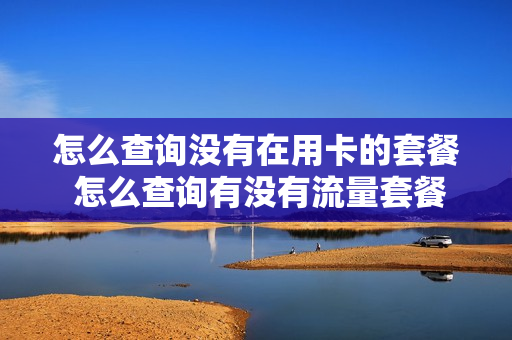 怎么查询没有在用卡的套餐 怎么查询有没有流量套餐