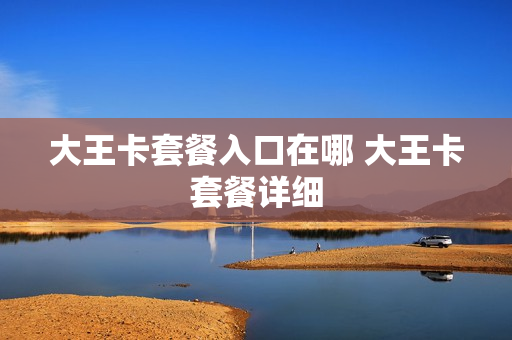 大王卡套餐入口在哪 大王卡套餐详细