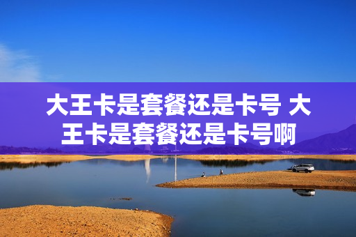 大王卡是套餐还是卡号 大王卡是套餐还是卡号啊