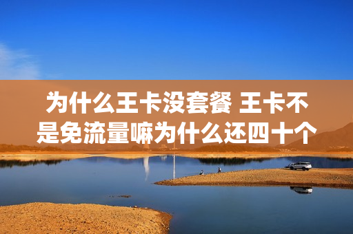 为什么王卡没套餐 王卡不是免流量嘛为什么还四十个g