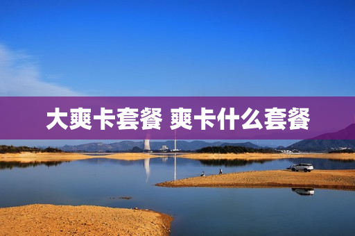 大爽卡套餐 爽卡什么套餐