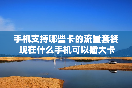 手机支持哪些卡的流量套餐 现在什么手机可以插大卡