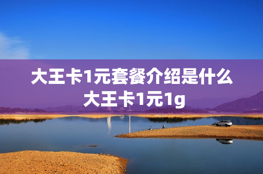 大王卡1元套餐介绍是什么 大王卡1元1g