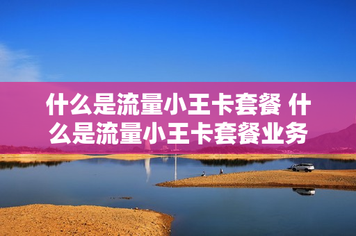 什么是流量小王卡套餐 什么是流量小王卡套餐业务