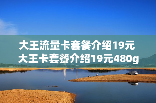 大王流量卡套餐介绍19元 大王卡套餐介绍19元480g
