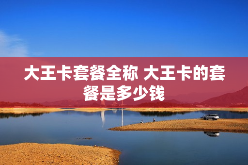 大王卡套餐全称 大王卡的套餐是多少钱