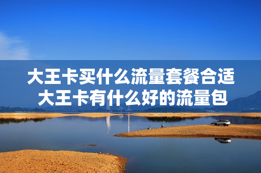 大王卡买什么流量套餐合适 大王卡有什么好的流量包