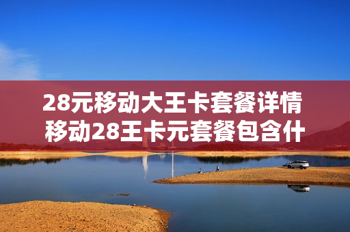28元移动大王卡套餐详情 移动28王卡元套餐包含什么