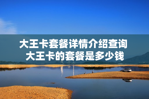 大王卡套餐详情介绍查询 大王卡的套餐是多少钱