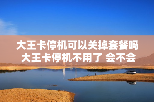 大王卡停机可以关掉套餐吗 大王卡停机不用了 会不会有事