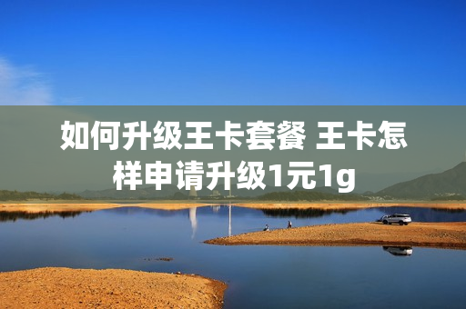 如何升级王卡套餐 王卡怎样申请升级1元1g