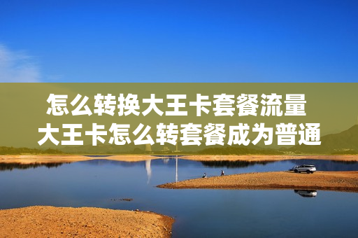 怎么转换大王卡套餐流量 大王卡怎么转套餐成为普通卡