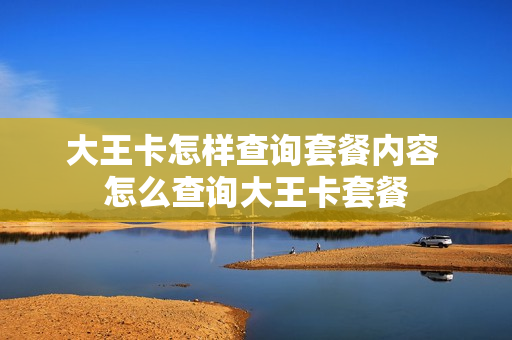 大王卡怎样查询套餐内容 怎么查询大王卡套餐