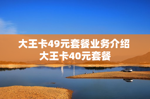 大王卡49元套餐业务介绍 大王卡40元套餐