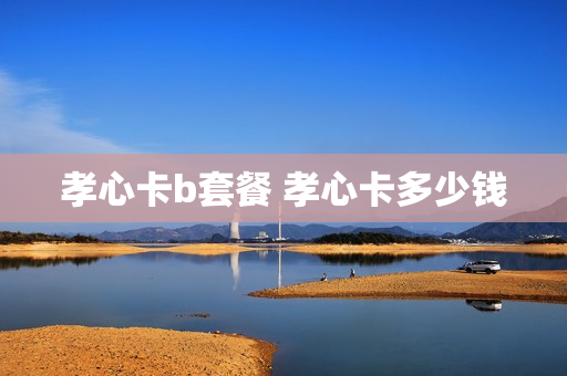 孝心卡b套餐 孝心卡多少钱