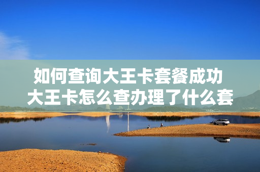 如何查询大王卡套餐成功 大王卡怎么查办理了什么套餐