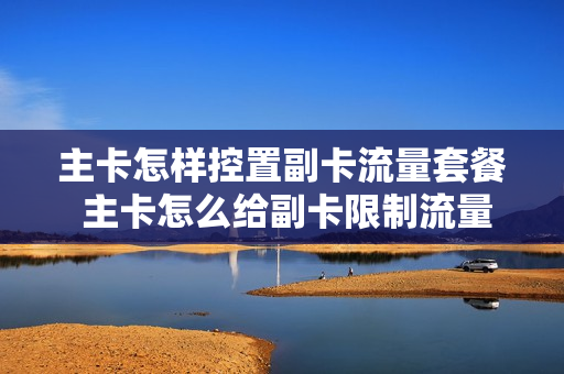 主卡怎样控置副卡流量套餐 主卡怎么给副卡限制流量