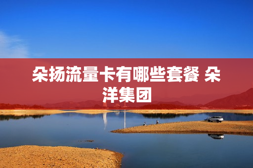 朵扬流量卡有哪些套餐 朵洋集团