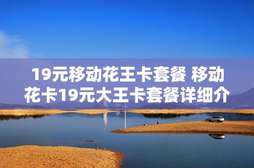 19元移动花王卡套餐 移动花卡19元大王卡套餐详细介绍
