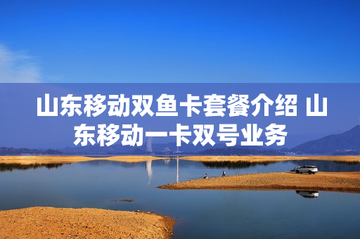 山东移动双鱼卡套餐介绍 山东移动一卡双号业务