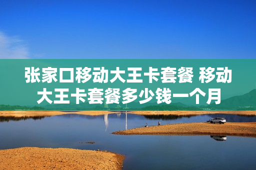 张家口移动大王卡套餐 移动大王卡套餐多少钱一个月