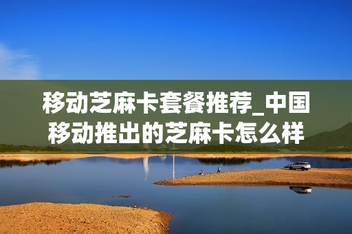 移动芝麻卡套餐推荐_中国移动推出的芝麻卡怎么样
