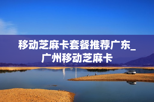 移动芝麻卡套餐推荐广东_广州移动芝麻卡