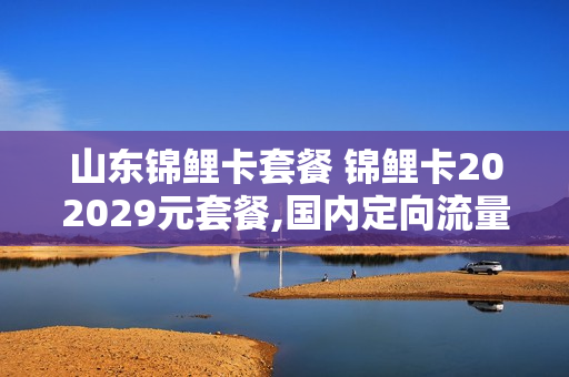 山东锦鲤卡套餐 锦鲤卡202029元套餐,国内定向流量