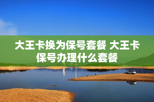 大王卡换为保号套餐 大王卡保号办理什么套餐