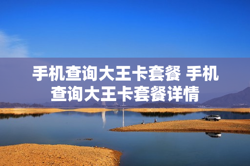 手机查询大王卡套餐 手机查询大王卡套餐详情