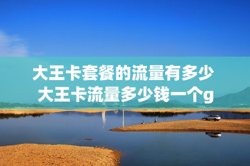 大王卡套餐的流量有多少 大王卡流量多少钱一个g