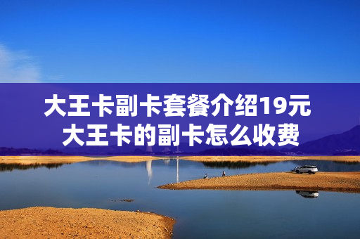 大王卡副卡套餐介绍19元 大王卡的副卡怎么收费