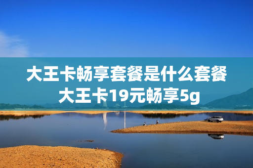 大王卡畅享套餐是什么套餐 大王卡19元畅享5g