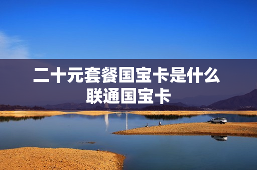 二十元套餐国宝卡是什么 联通国宝卡