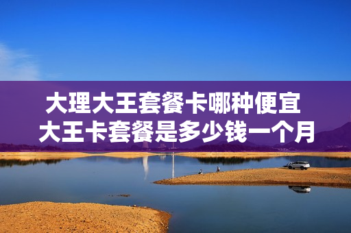 大理大王套餐卡哪种便宜 大王卡套餐是多少钱一个月