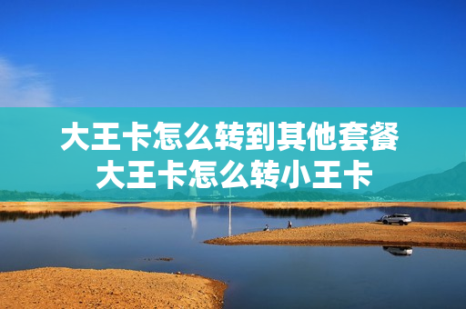 大王卡怎么转到其他套餐 大王卡怎么转小王卡