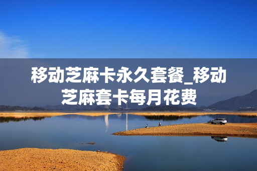 移动芝麻卡永久套餐_移动芝麻套卡每月花费