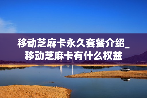移动芝麻卡永久套餐介绍_移动芝麻卡有什么权益