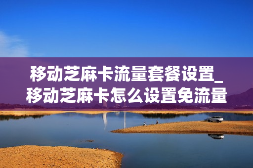 移动芝麻卡流量套餐设置_移动芝麻卡怎么设置免流量