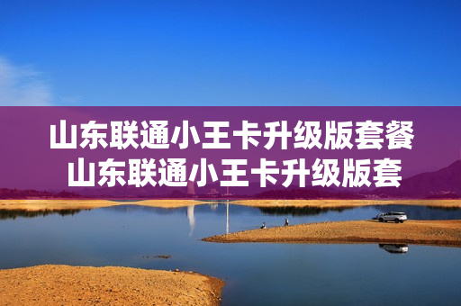 山东联通小王卡升级版套餐 山东联通小王卡升级版套餐怎么样