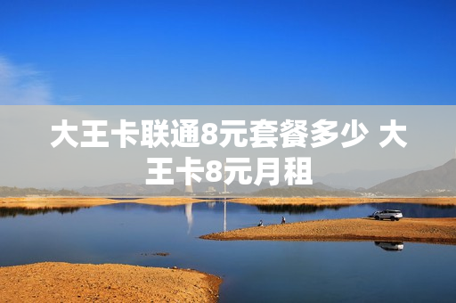 大王卡联通8元套餐多少 大王卡8元月租