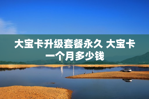 大宝卡升级套餐永久 大宝卡一个月多少钱