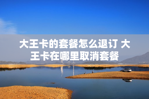 大王卡的套餐怎么退订 大王卡在哪里取消套餐