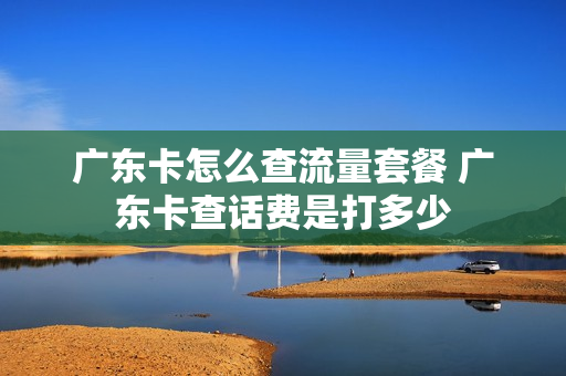 广东卡怎么查流量套餐 广东卡查话费是打多少