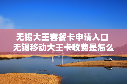 无锡大王套餐卡申请入口 无锡移动大王卡收费是怎么收的